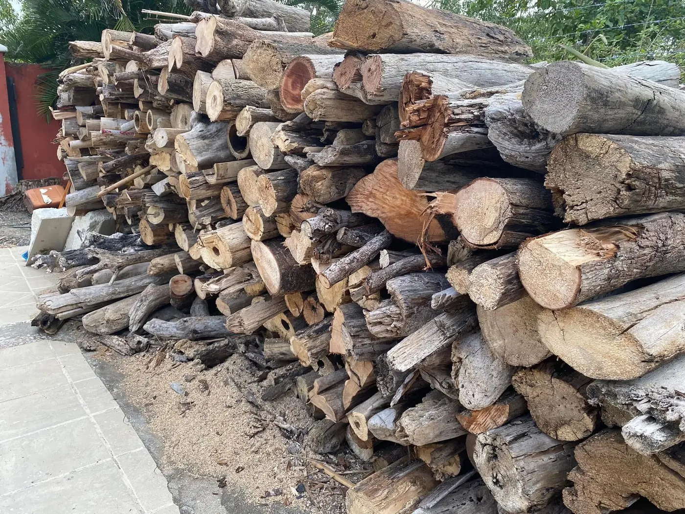 Wood stacked for the temazcal fire