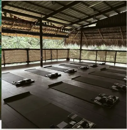 Mats laid out in the shala before class